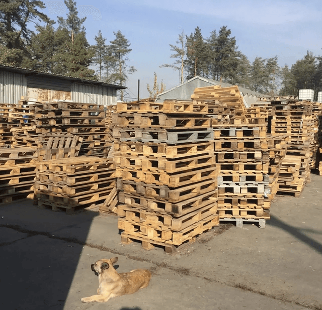 фотографія 3