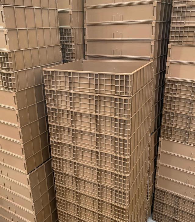 фотографія 5