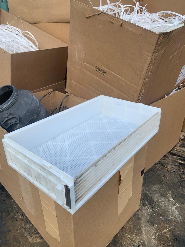 фотографія 2